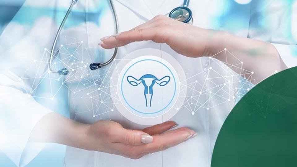 ginecologia e obstetricia